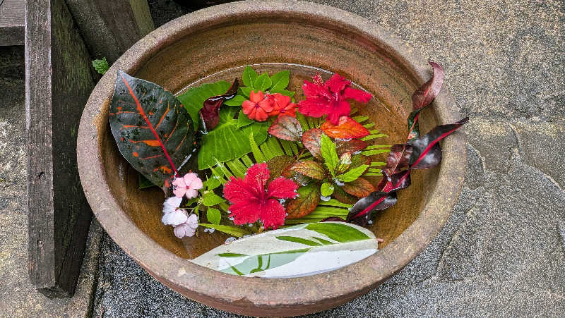 竜犬さんの亜熱帯サウナのサ活写真