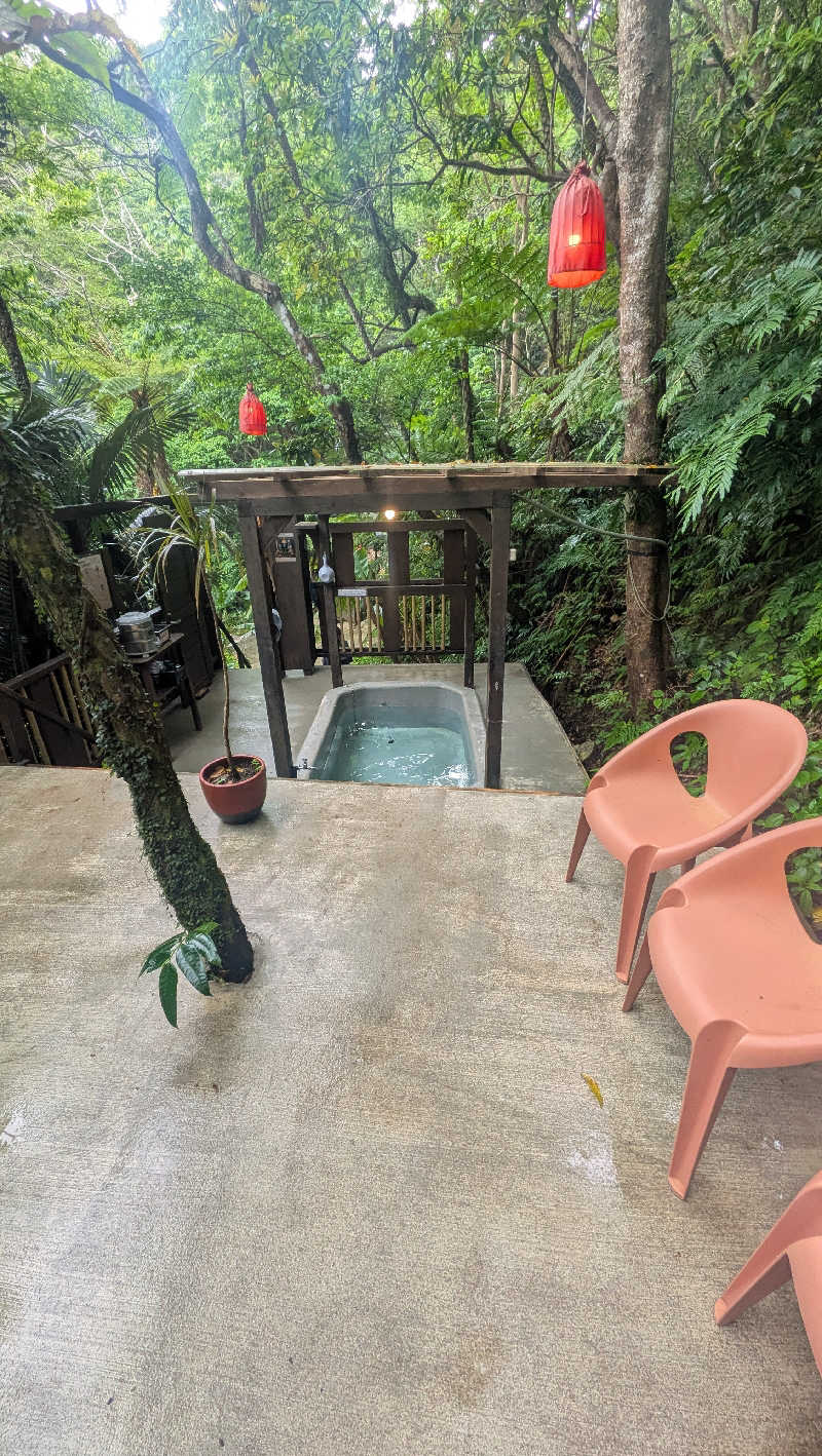 竜犬さんの亜熱帯サウナのサ活写真