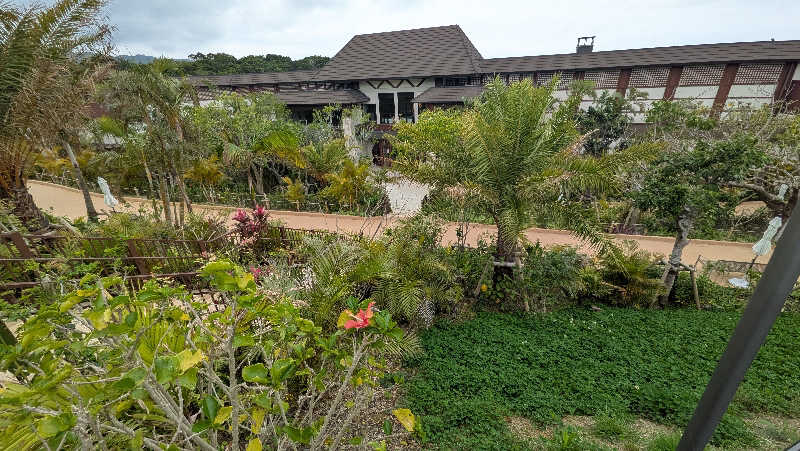 竜犬さんのスパ ジャングリアのサ活写真