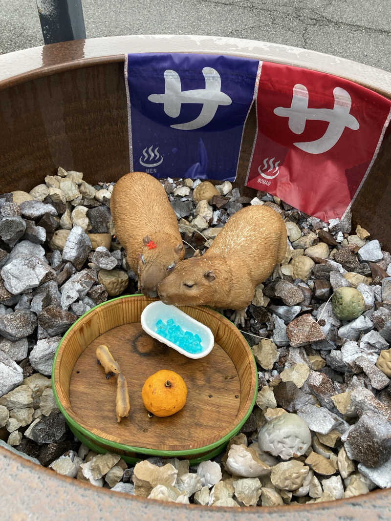 Virgo5120<゜)))彡さんの富士山天然水SPA サウナ鷹の湯のサ活写真