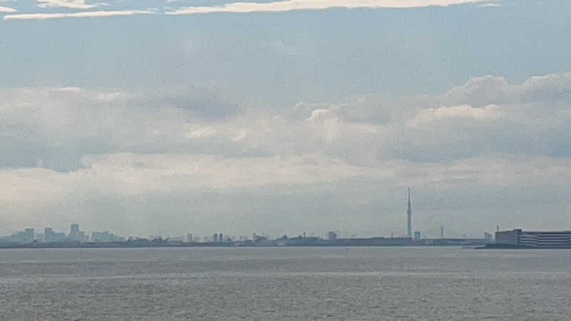 大庭　葉蔵さんのJFA夢フィールド 幕張温泉 湯楽の里のサ活写真