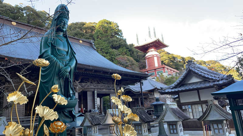 しまなみさんの薬王寺温泉 湯元 醫王の湯のサ活写真