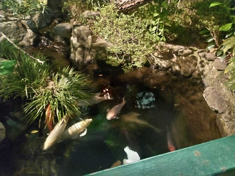 快湯紳士｜竹城俊之介さんの栄盛湯のサ活写真