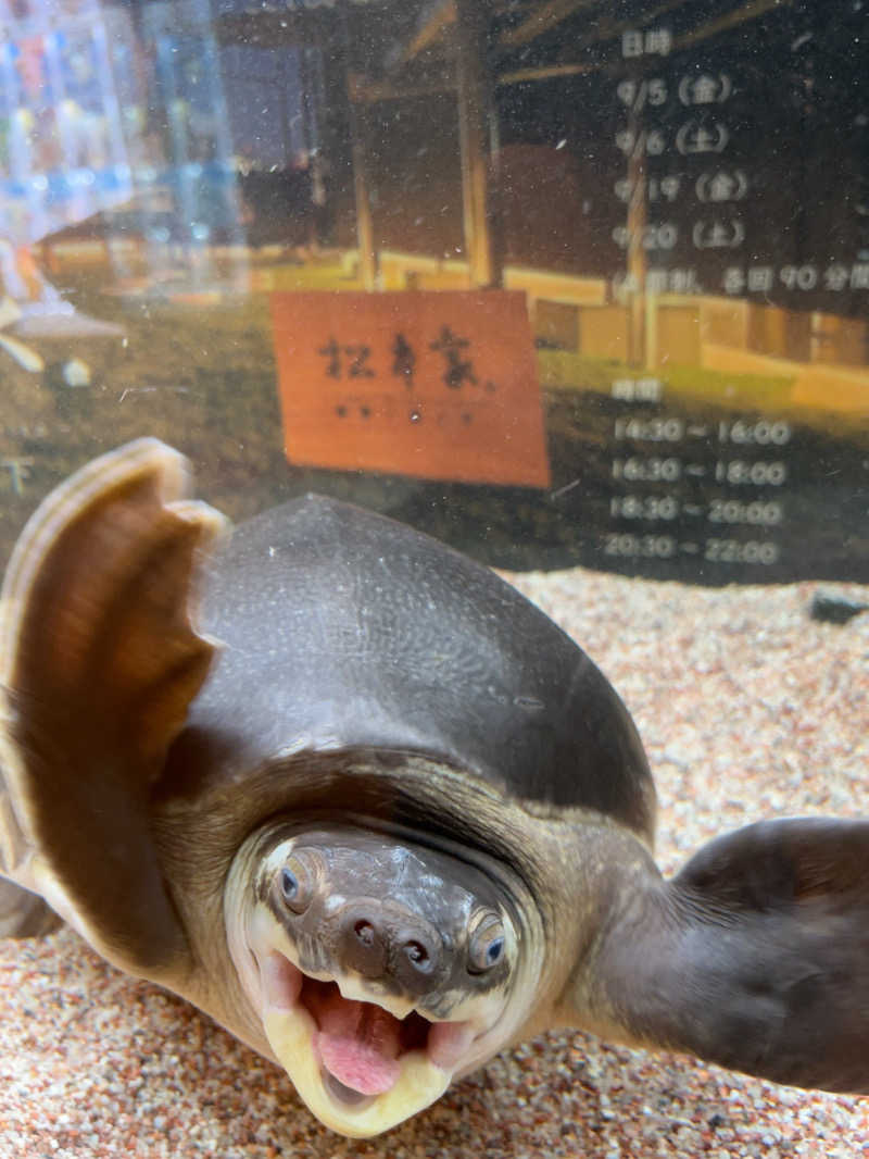 kyoさんの松本湯のサ活写真