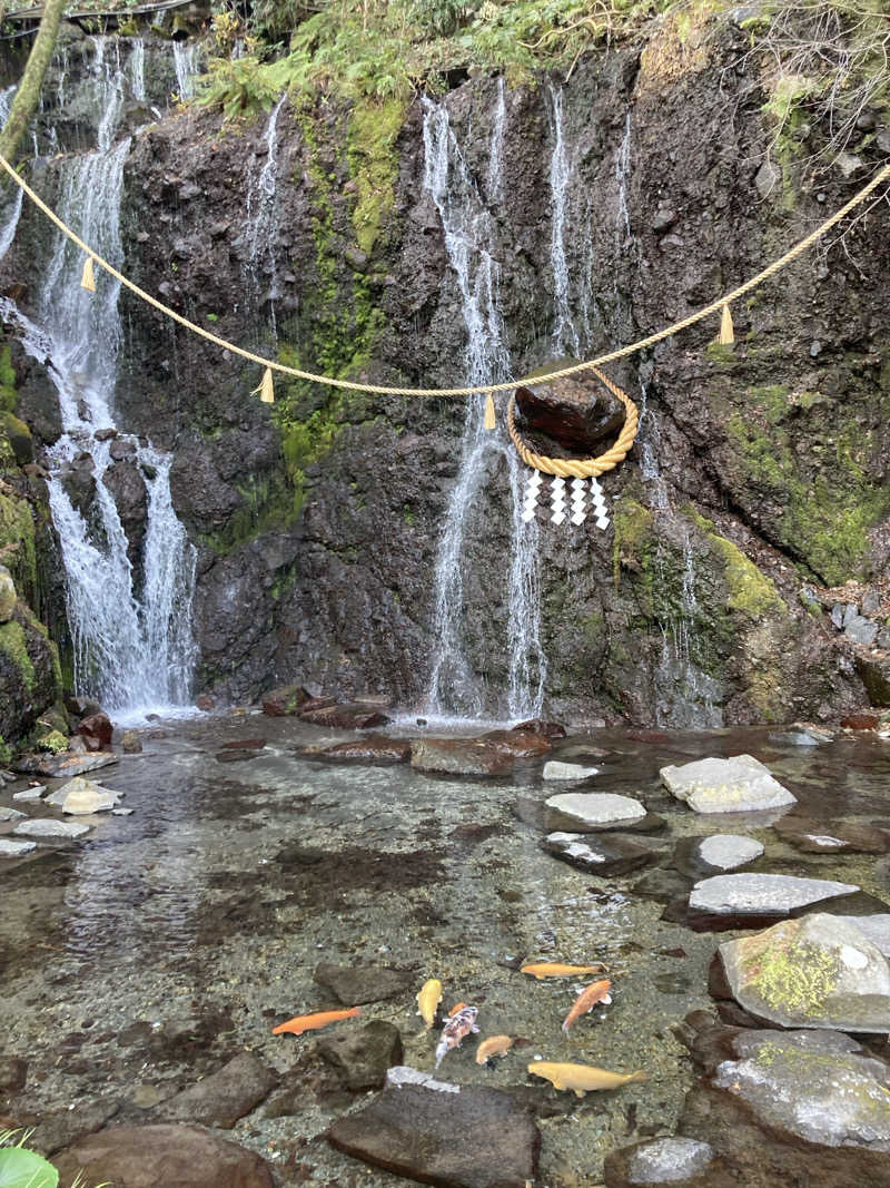 青いサウナハットさんの箱根湯本温泉 天成園のサ活写真