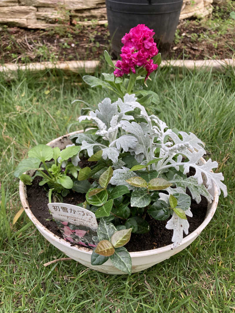 青サウ（青いサウナハット）さんの天然温泉 満天の湯のサ活写真