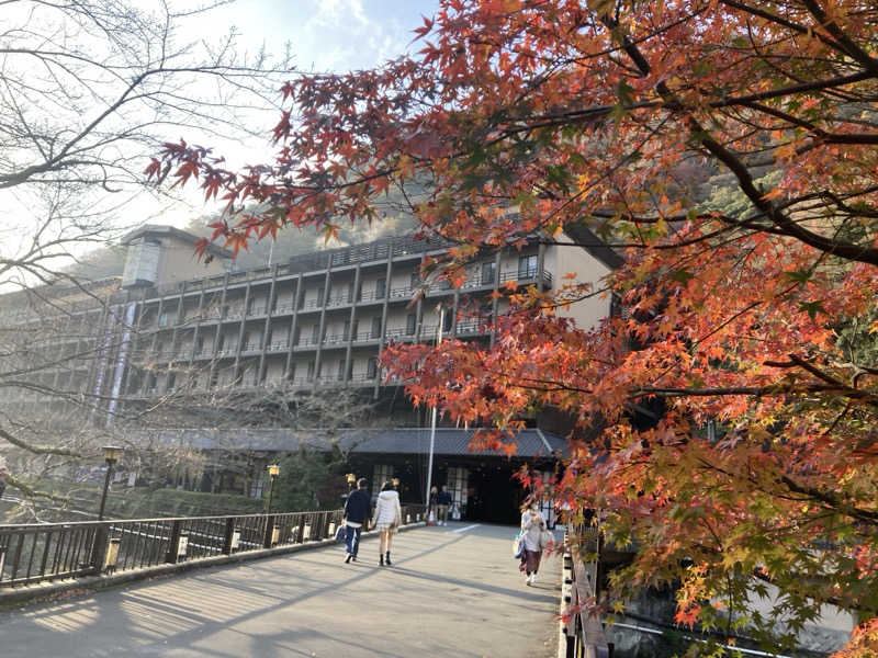 青サウ（青いサウナハット）さんの箱根湯本温泉 天成園のサ活写真