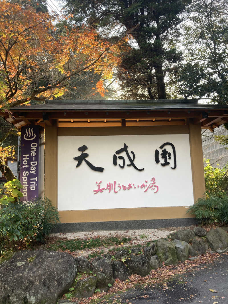 青サウ（青いサウナハット）さんの箱根湯本温泉 天成園のサ活写真