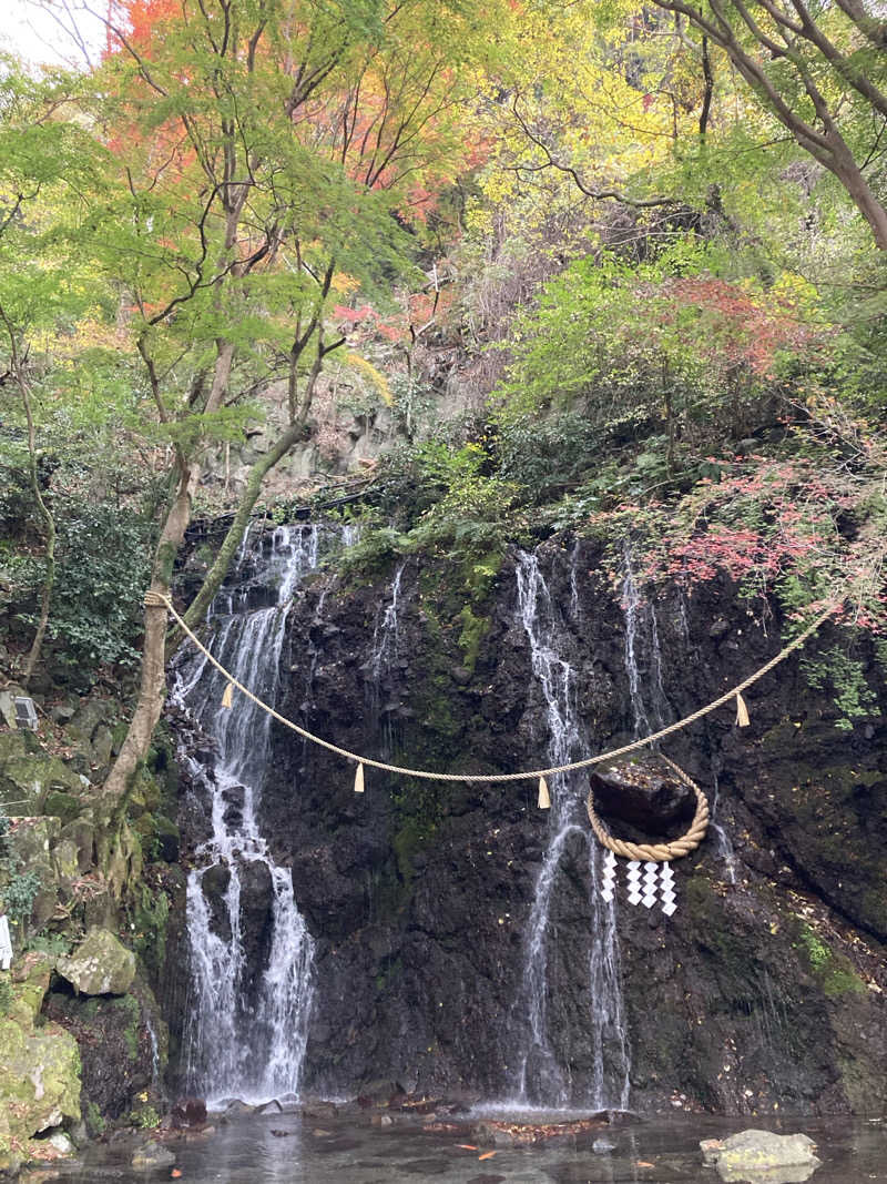 青サウ（青いサウナハット）さんの箱根湯本温泉 天成園のサ活写真