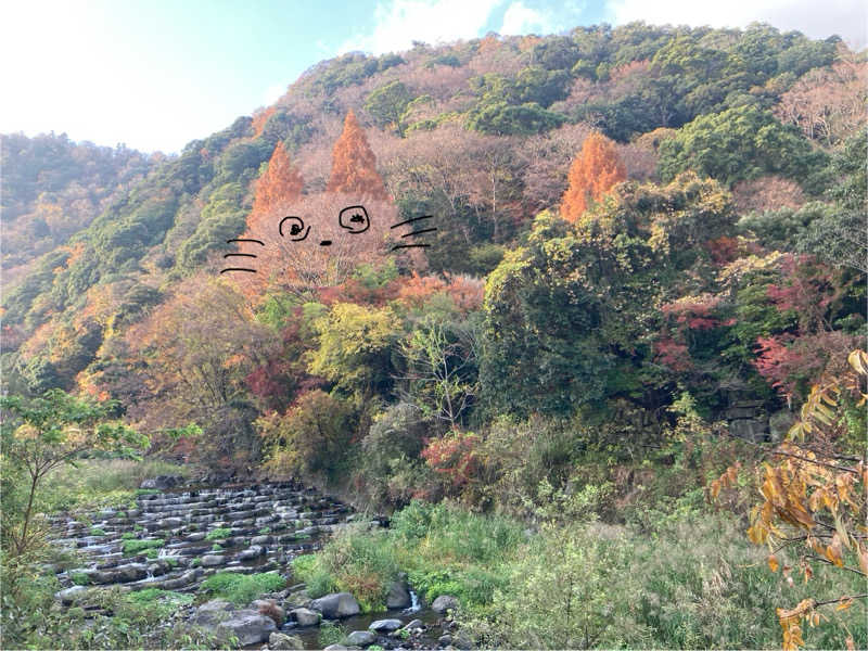 青サウ（青いサウナハット）さんの箱根湯本温泉 天成園のサ活写真