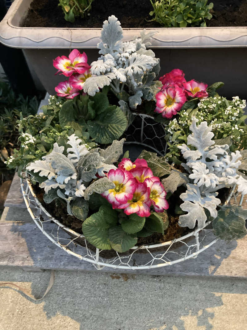 青サウ（青いサウナハット）さんの天然温泉 満天の湯のサ活写真