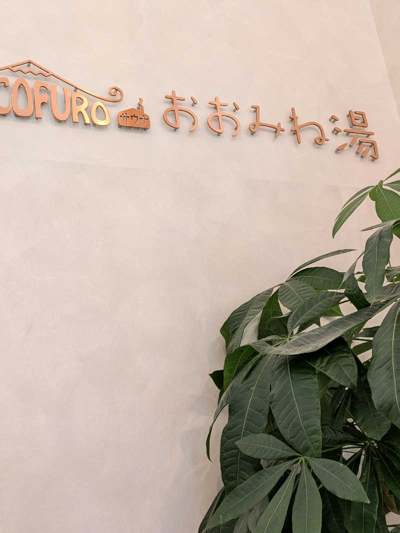ぴさんのCOCOFURO おおみね湯のサ活写真