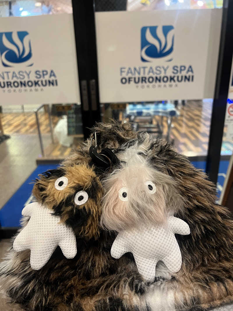 こーこさんのファンタジーサウナ&スパおふろの国のサ活写真