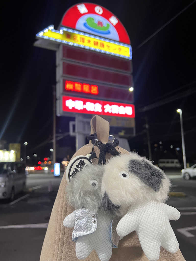 こーこさんの湯乃泉 東名厚木健康センターのサ活写真