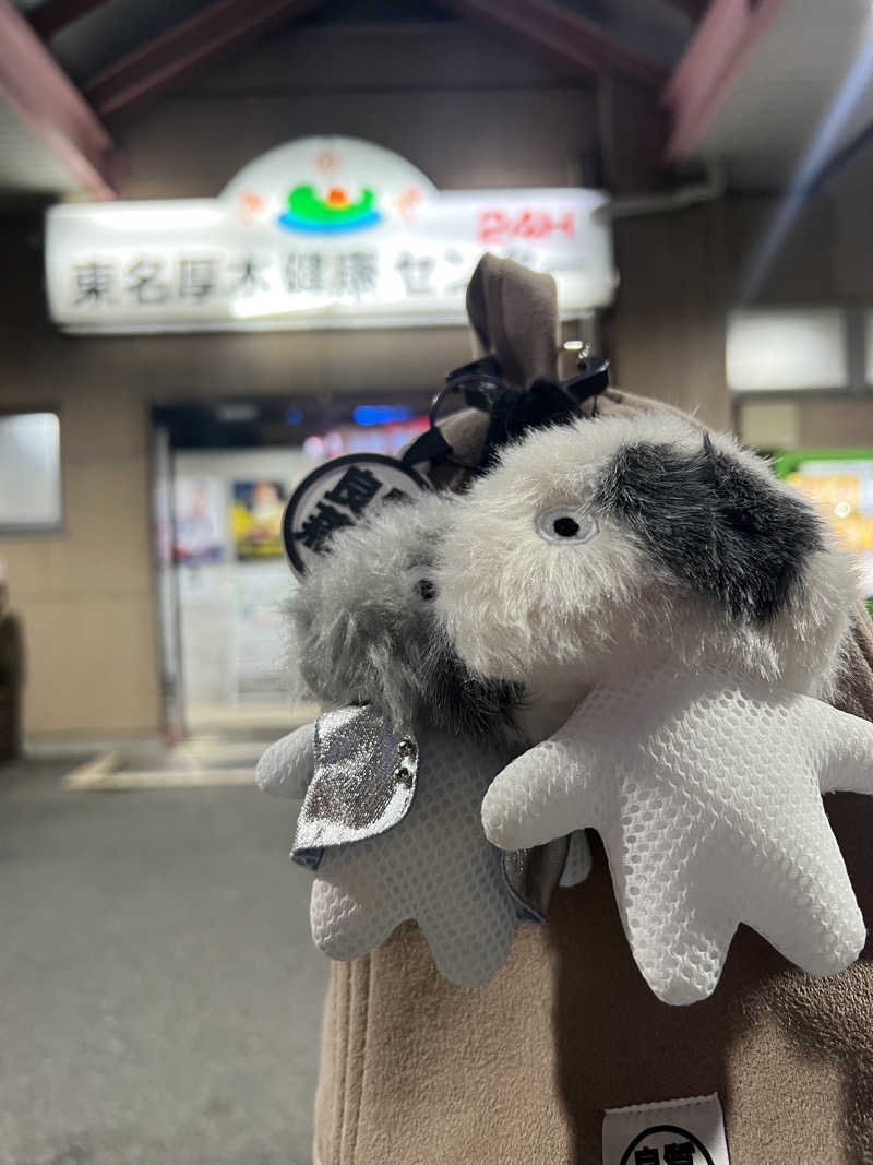 こーこさんの湯乃泉 東名厚木健康センターのサ活写真