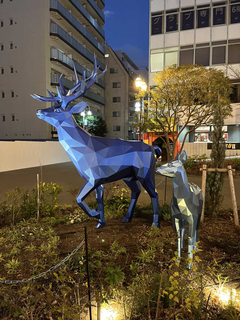 マーシーさんの豊島園 庭の湯のサ活写真