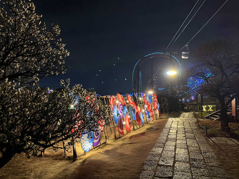 マーシーさんのよみうりランド眺望温泉 花景の湯のサ活写真