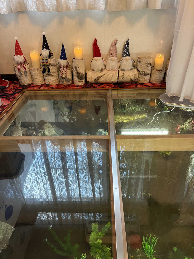 マーシー🏃‍♂️♨️さんの平和湯のサ活写真