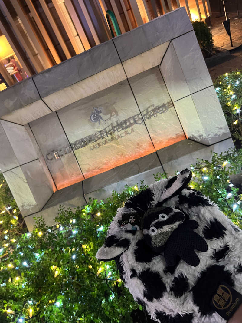 マーシーさんのサウナリゾートオリエンタル赤坂のサ活写真