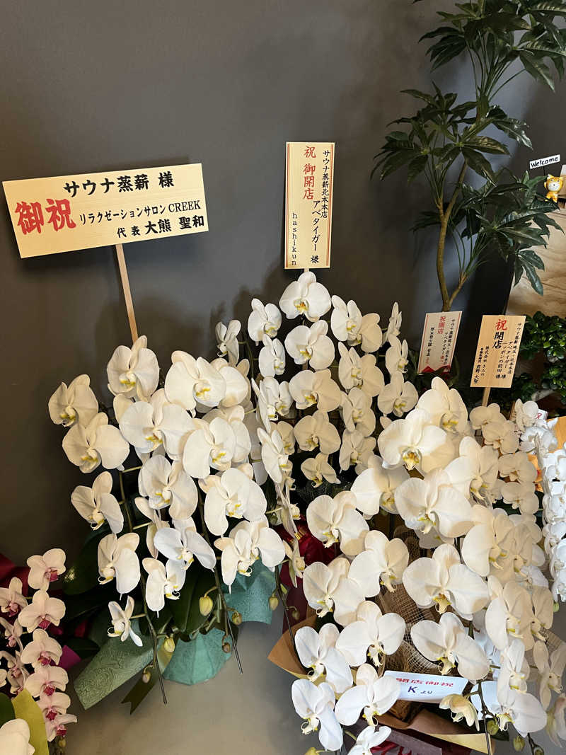 マーシー🏃‍♂️♨️さんのサウナ蒸薪のサ活写真