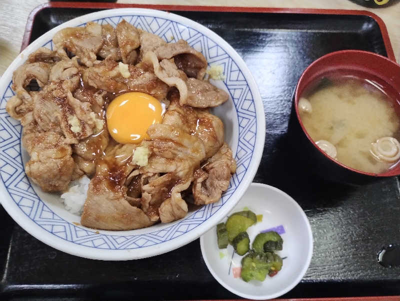 とらちゃんさんの湯乃泉 東名厚木健康センターのサ活写真