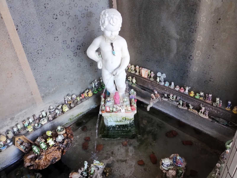 とらちゃんさんの小松湯のサ活写真