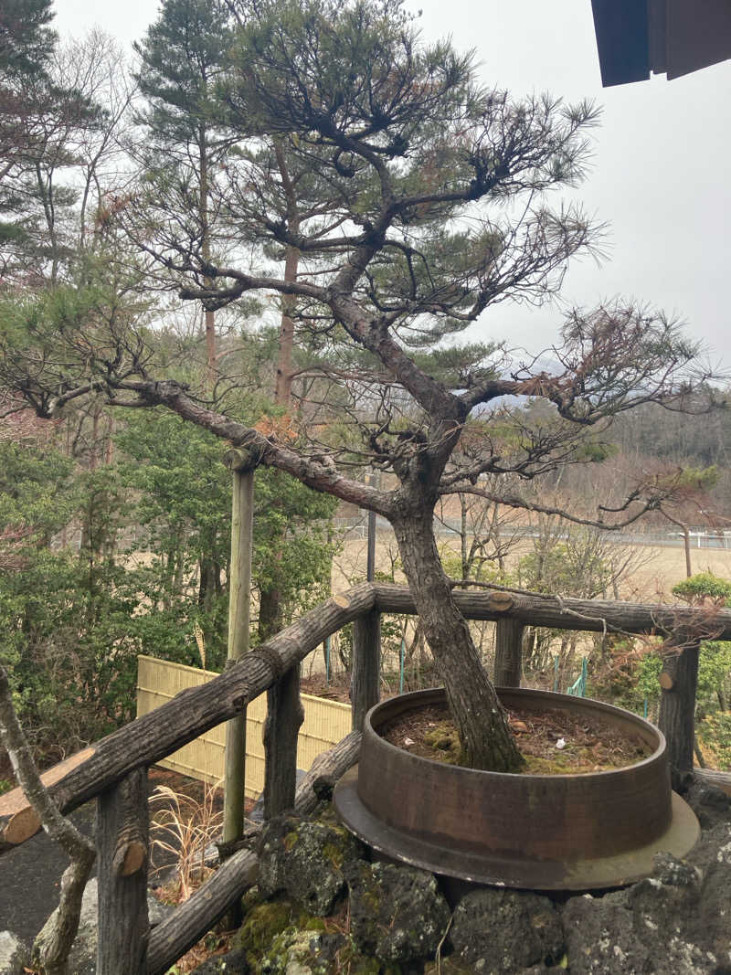 ゼットンさんの富士眺望の湯 ゆらりのサ活写真