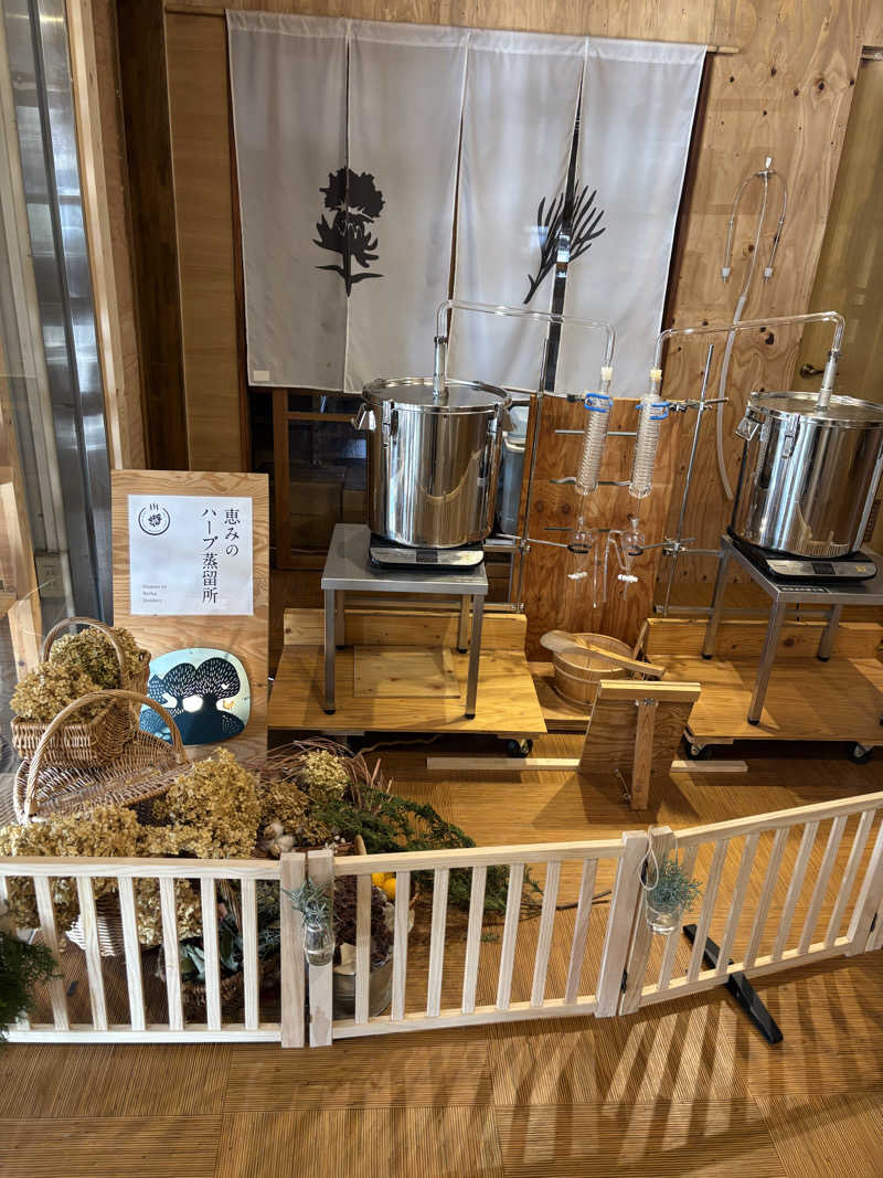 とも吉さんの岐阜各務原 恵みの湯のサ活写真