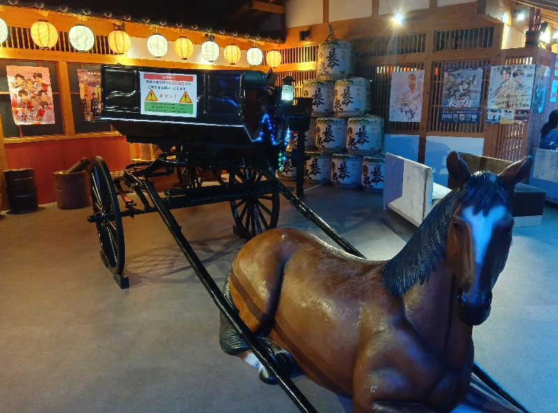 整う鹿ないさんの東京湯楽城のサ活写真