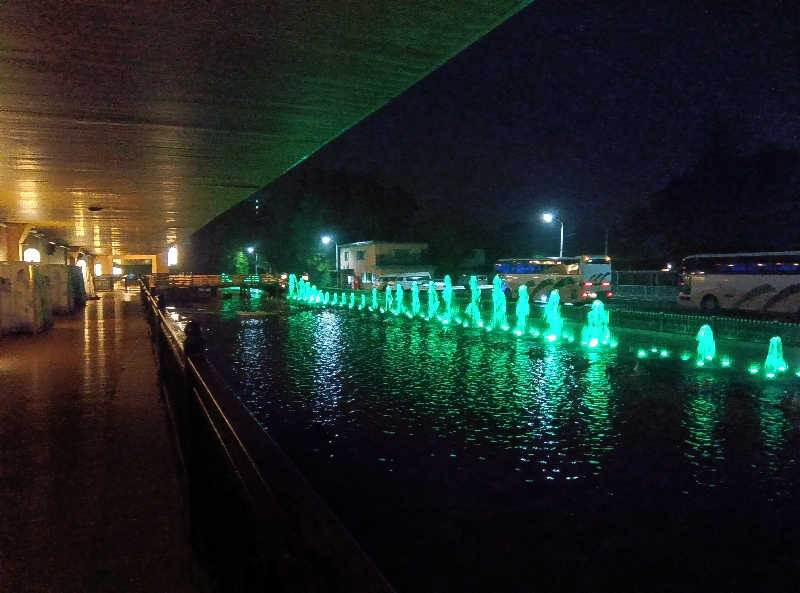 整う鹿ないさんの東京湯楽城のサ活写真