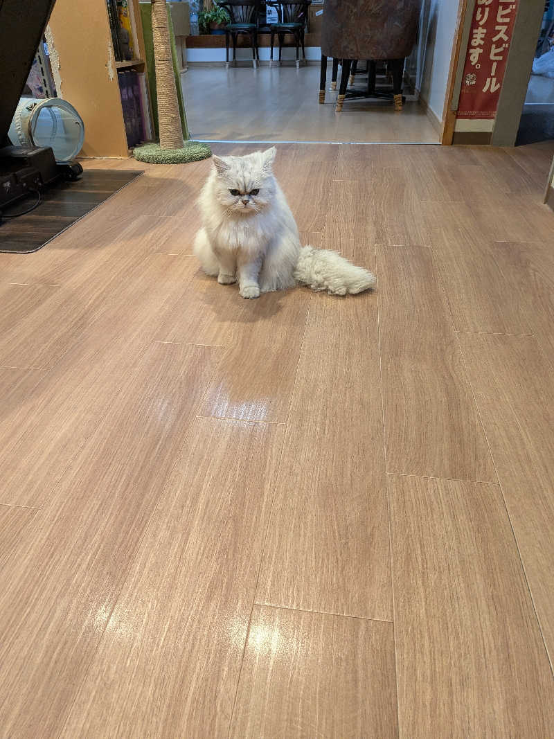 整う鹿ないさんの湯処じんのびのサ活写真