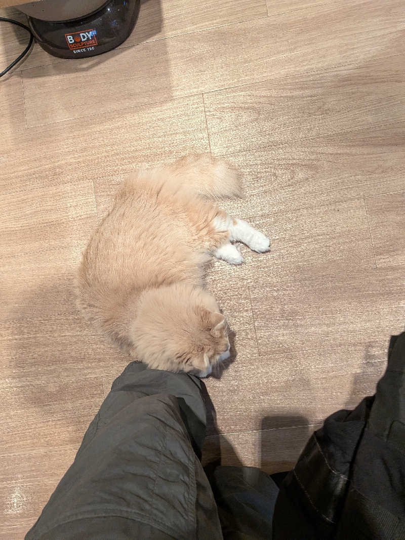 整う鹿ないさんの湯処じんのびのサ活写真