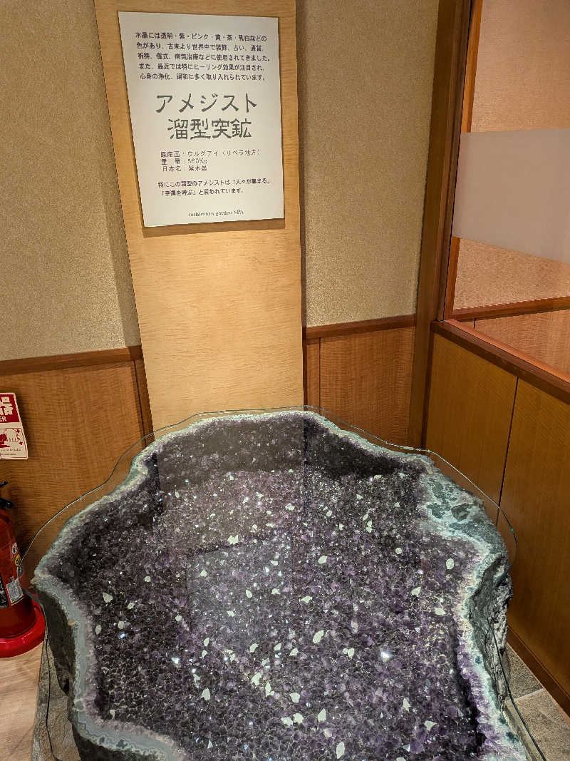 整う鹿ないさんの豊島園 庭の湯のサ活写真