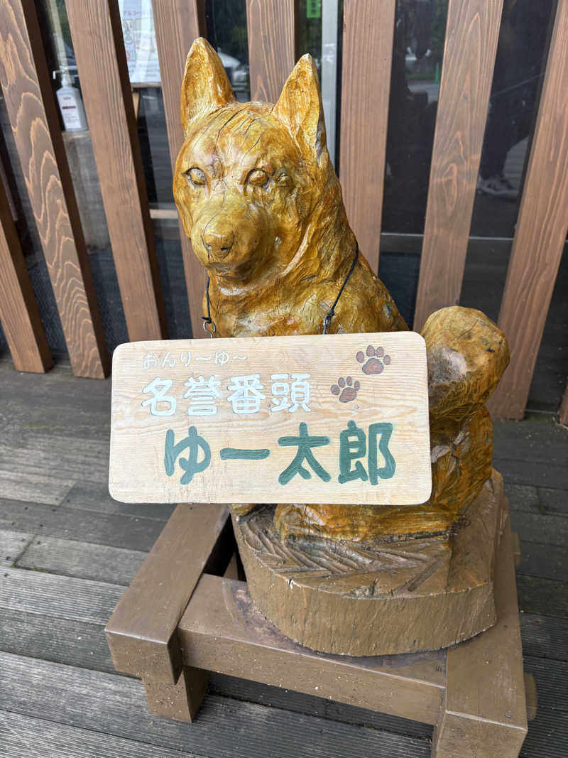 のんさんのモダン湯治 おんりーゆーのサ活写真