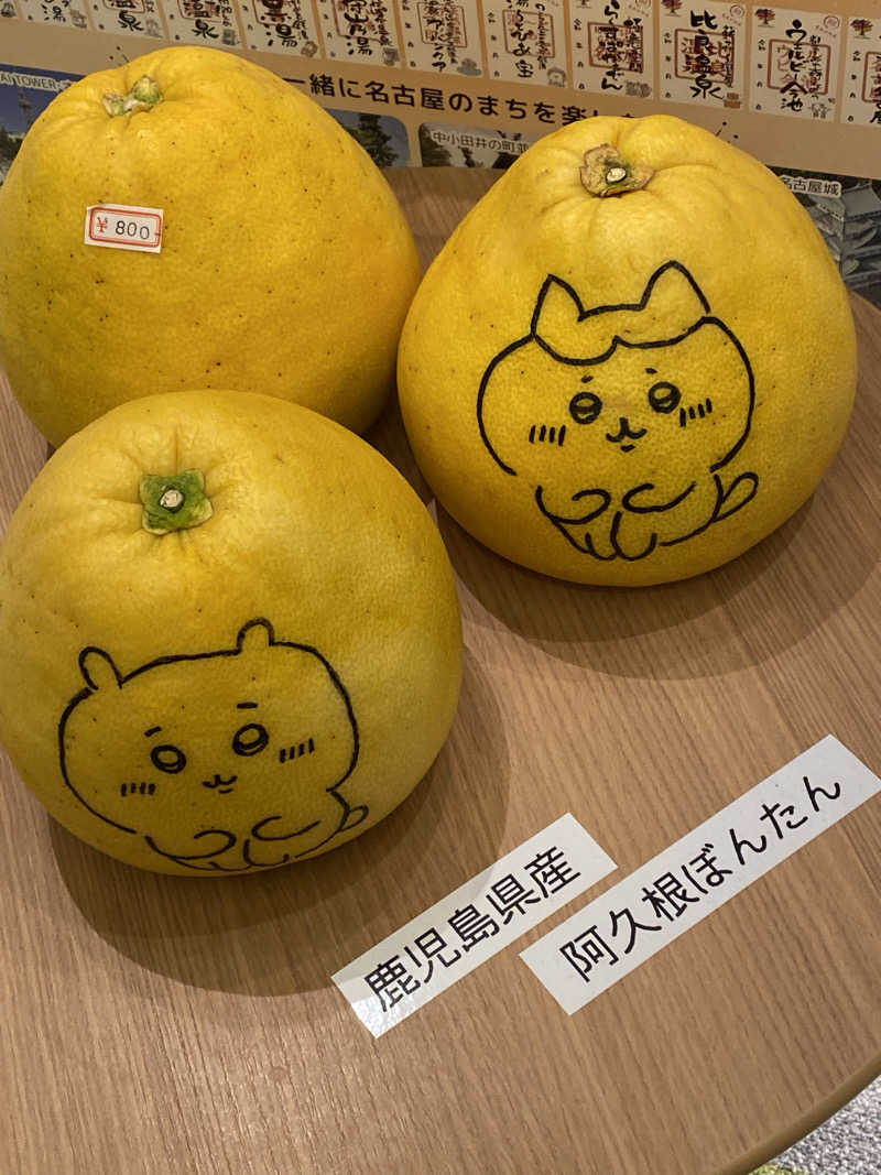 なごやHA015🇯🇵JR2VKGさんのぽかぽか温泉 新守山乃湯のサ活写真