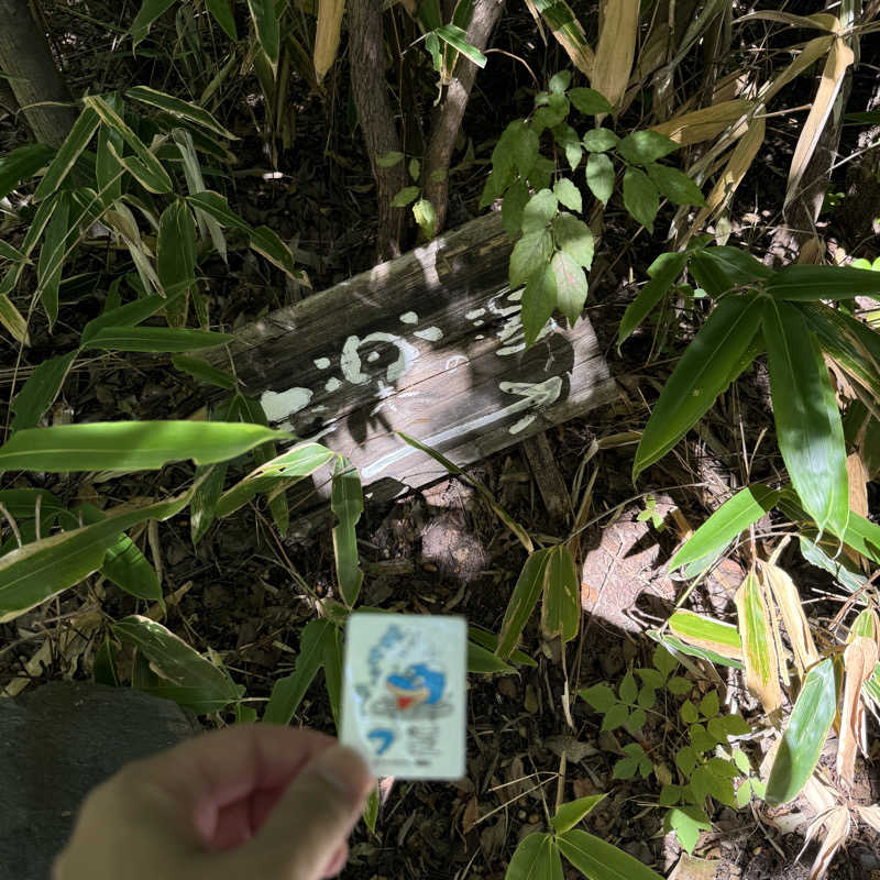 ふろすけさんの縄文天然温泉 志楽の湯のサ活写真