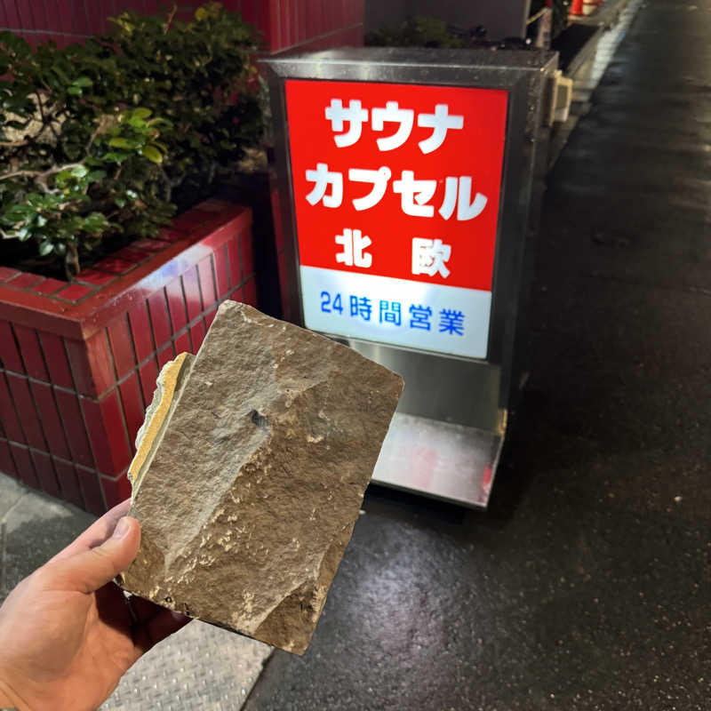 ふろすけさんのサウナ&カプセルホテル 北欧のサ活写真