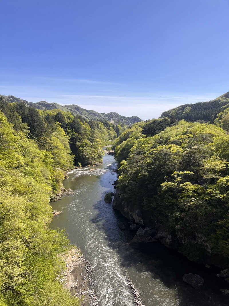 ( ᴖ ̫ᴖ )🎶さんの大江戸温泉物語Premium 鬼怒川観光ホテルのサ活写真