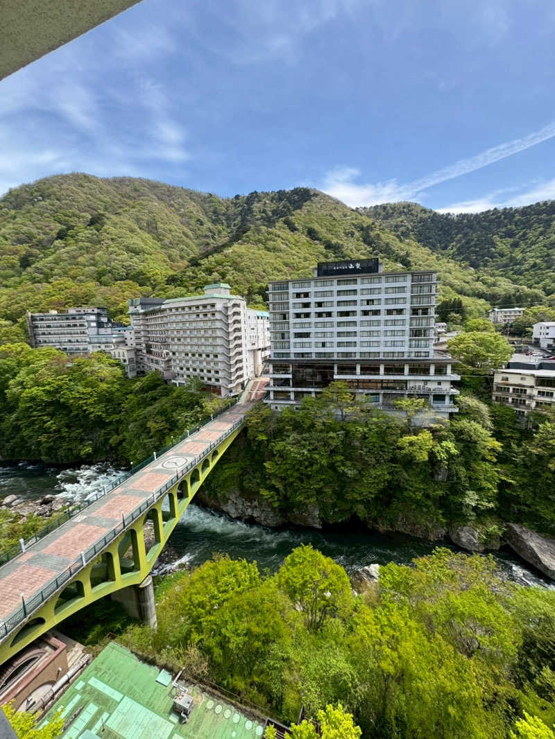 ( ᴖ ̫ᴖ )🎶さんの大江戸温泉物語Premium 鬼怒川観光ホテルのサ活写真