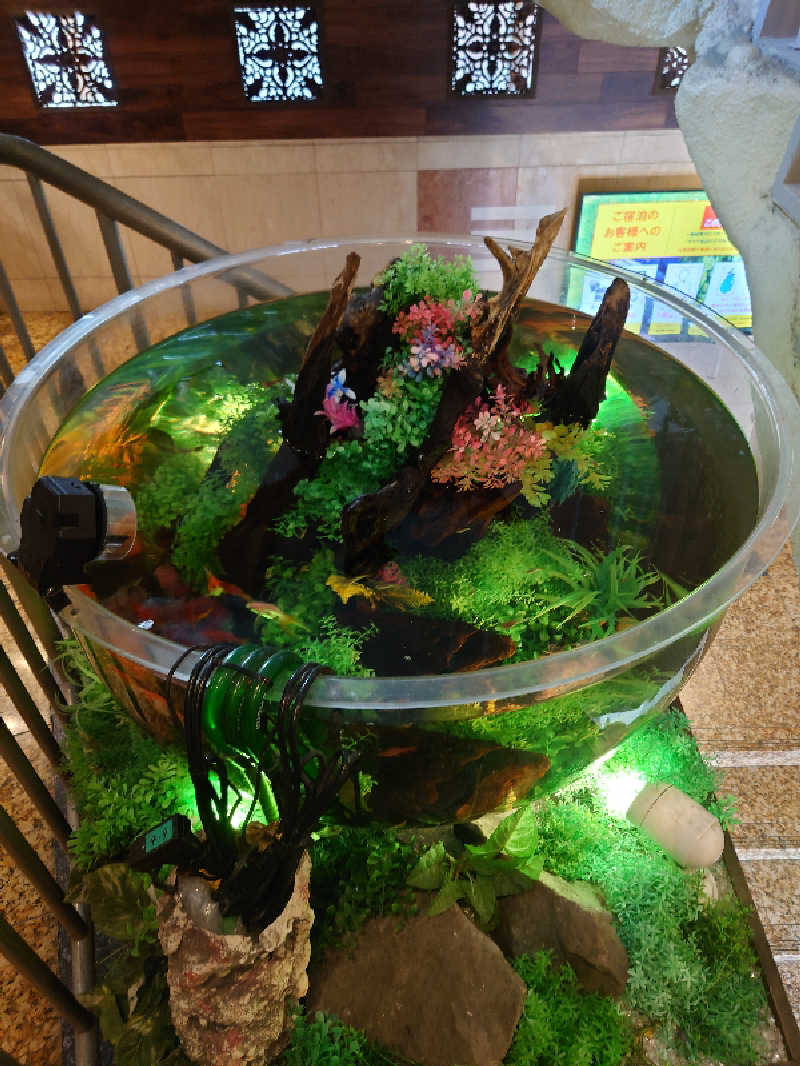 TORUさんのウェルビー福岡のサ活写真