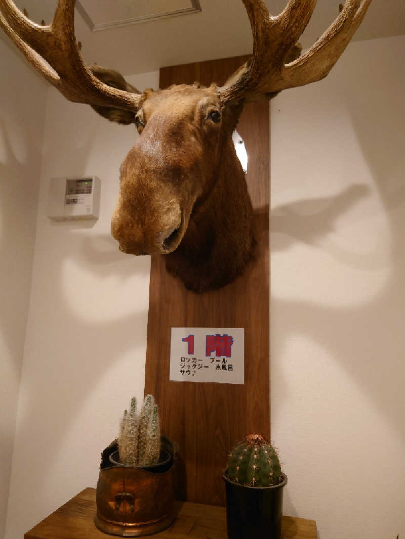 TORUさんのニュージャパン 梅田店(カプセルイン大阪)のサ活写真