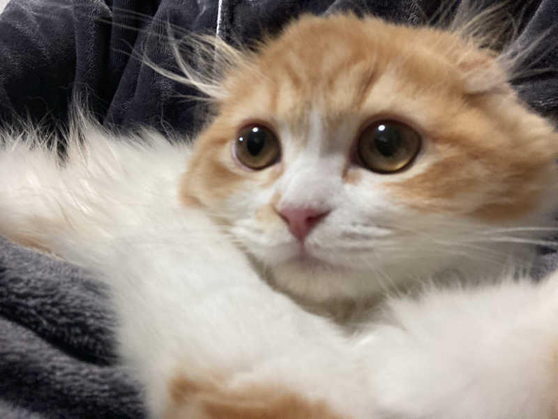 フリーさんのSauna Talo Toyama サウナタロトヤマのサ活写真