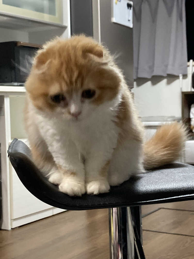 フリーさんのSauna Talo Toyama サウナタロトヤマのサ活写真