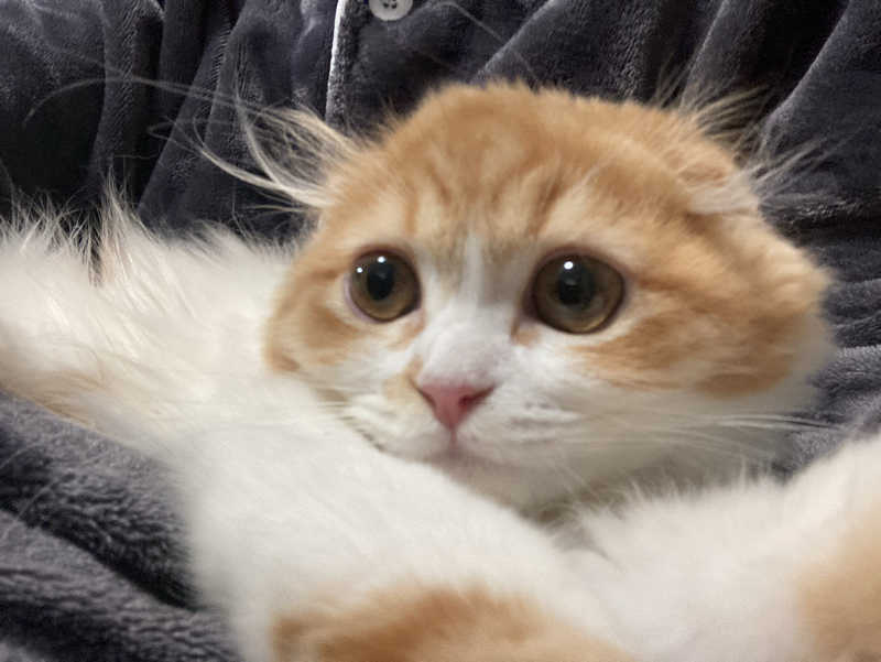 フリーさんのSauna Talo Toyama サウナタロトヤマのサ活写真