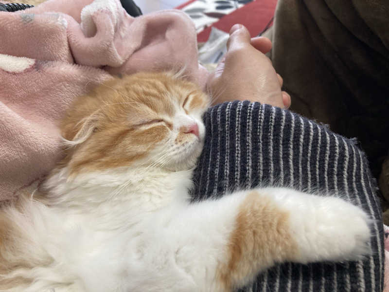 フリーさんの高原鉱泉のサ活写真