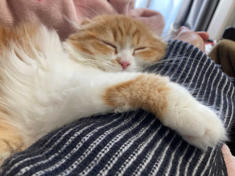 フリーさんのアパホテルステイ〈富山〉のサ活写真