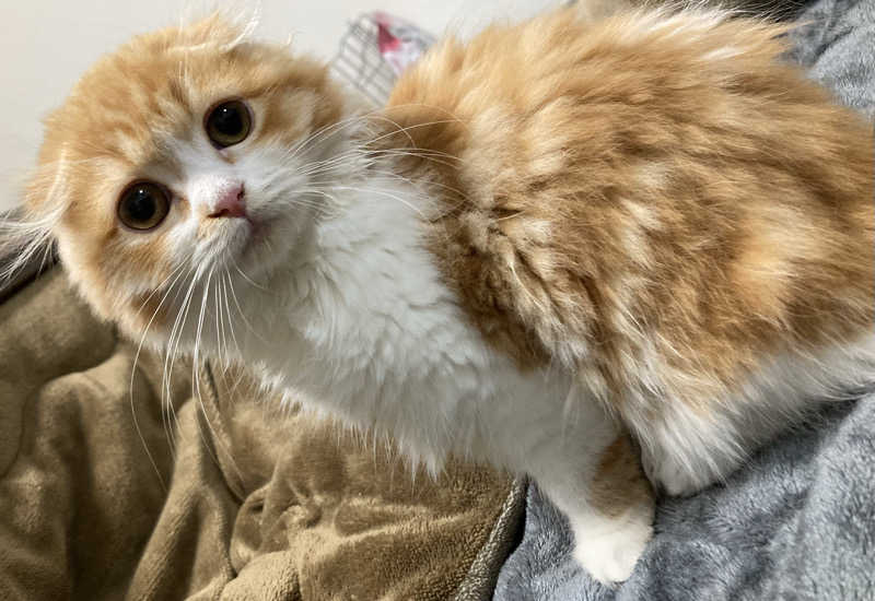 フリーさんのアパホテルステイ〈富山〉のサ活写真