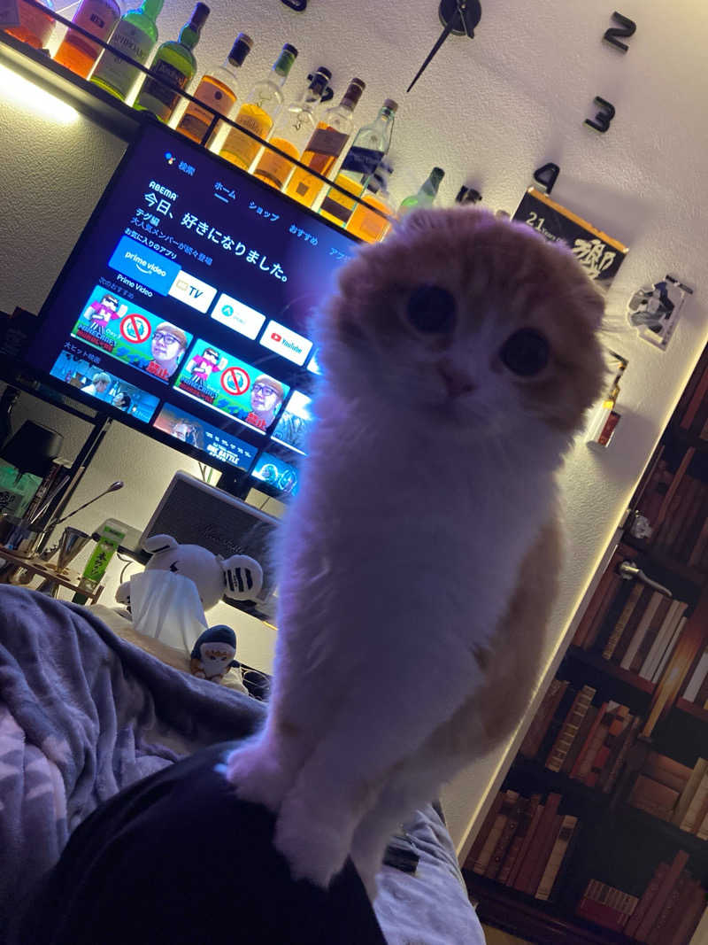 フリーさんのアパホテルステイ〈富山〉のサ活写真