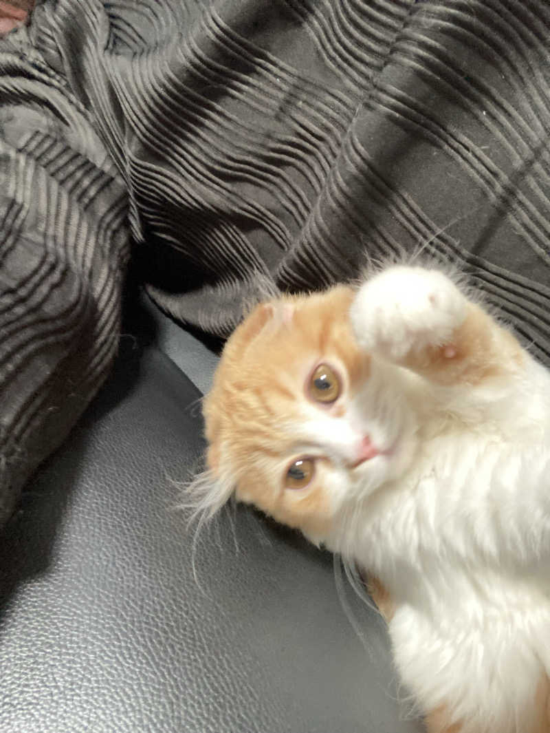 フリーさんのアパホテルステイ〈富山〉のサ活写真