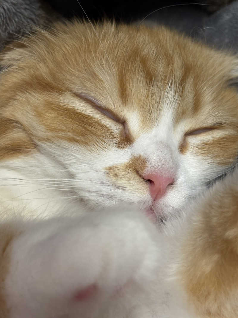 フリーさんのアパホテルステイ〈富山〉のサ活写真